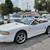 1996 Ford Mustang Cobra Convertible 1 thumbnail