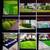 Landscaping 9 thumbnail