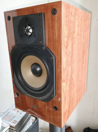PARADIGM REFERENCE Active 20s Pair 1