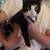 Free inside female cats 2 thumbnail