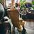 Beautiful Ralph Lauren Distressed Leather Chesterfield Wingback Chair 4 thumbnail