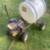 Gas powered sprayer and tank combination. 2 thumbnail