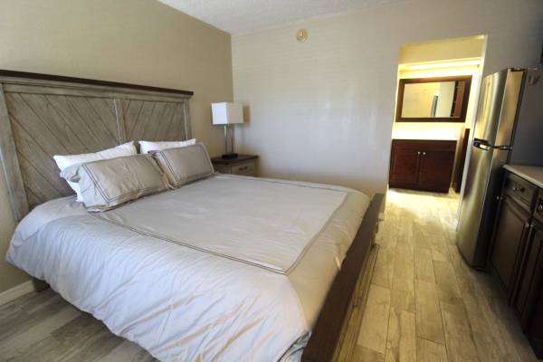 $1,250 / 1br - 360ft2 - Estudio anual frente a la bahía de Sarasota: ¡totalmente amueblado! (Sarasota)63791080797441123