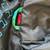 Spyder toddlers' / kids' winter ski / snowboard jacket for a 3 year ol 6 thumbnail