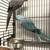 Indian ringneck pair 2 thumbnail