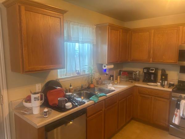 Kitchen cabinets/garage storage 1