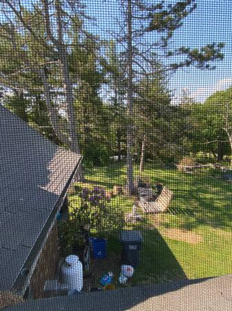 $1,000 / 5br - Home Share Available in Beautiful Home (Princeton)63825126318851124