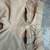 Cabelas Instinct Upland hunting pants 6 thumbnail