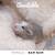 Three female baby rats need home 2 thumbnail