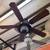 52" Ceiling Fan with Light Kit, Dark Wood and Black 1 thumbnail