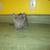 Mouser 1 thumbnail
