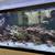 Aquarium and Pond Maintenance and supplies 16 thumbnail