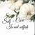 SERENE WELLNESS BODYWORK 5 thumbnail