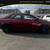Toyota Corolla - BAD CREDIT BANKRUPTCY REPO SSI RETIRED APPROVED 4 thumbnail