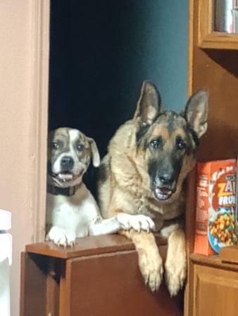 Sweet and loving (Joplin)63654750389635121