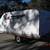 2014 TRITON 12 FT ENCLOSED SNOWMOBILE TRAILER 2 thumbnail