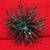 GLITTERED AND SEQUINED BURST ORNAMENT, TURQUOISE (Set of 4) 24 thumbnail