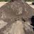 Quality mixed soil 2 thumbnail