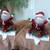 2 Stocking Hangers, Hallmark, santas, Light up 1 thumbnail