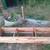 Hand-made Cedar Planter Boxes for your Fall and Winter Garden - $100 11 thumbnail