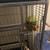 Large birdcage 5 thumbnail