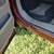 7.3 Powerstroke Ford Excursion Limited 18 thumbnail