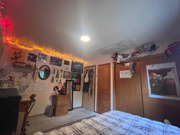 $785 / 3br - Seeking early 20's queer roommate!63509650157185123