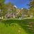Alarm System, Controlled Access, Controlled Access/Gated 5 thumbnail