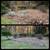 Landscaping, Lawn Mowing, Yard Clean up,  Trimming, Mulching 21 thumbnail