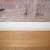 Gregory Nelson -  Spring Watch 648 of 650 Signed and Numbered 24 x 14. 3 thumbnail