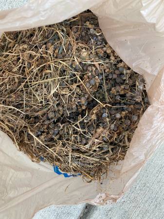 Rabbit fertilizer - $15 (Brandon)63470659581057122