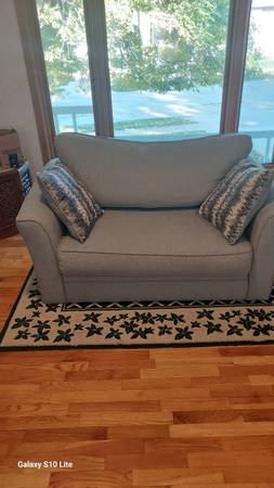 Sleeper Love Seat 1
