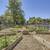 Sundeck, In Greeley, 1BD 1BA 8 thumbnail
