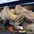 New reptile shipment!!-LOOK!! 14 thumbnail