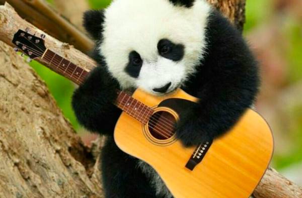 Guitar master open to strudents / virtual lessons (FREE) (Midtown)63950516360323120