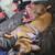 Canecorso pitbull 3 thumbnail