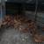 Chickens 2 thumbnail