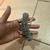 Leopard Gecko’s 6 thumbnail
