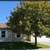 🌳 Updated 3BR Home w/ New Carpet & Fresh Paint – Great Location! 1 thumbnail