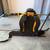 DEWALT 4-Gallon Internal Piston Pump Backpack Sprayer - Like New (Used Once) 2 thumbnail