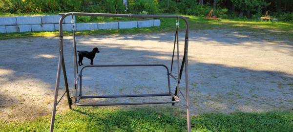 Patio Seat 1