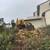 TREE &STUMP GRINDING &STUMP REMOVAL SERVICE 9 thumbnail