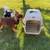 Dog Crate Crates Kennel Cat Carrier NEW 9 thumbnail