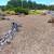 Lopez Landscape,  cleanups 23 thumbnail