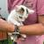 Kittens 1 thumbnail