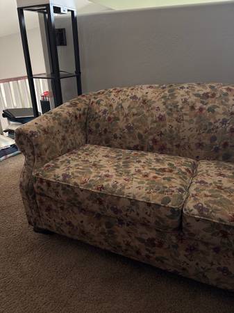 Sofa hide a bed 1
