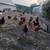 Pullets/ Chickens 4 thumbnail