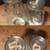 TWO WHEATON GLASS MASON JARS 1L & 1.5L LITER EMBOSSED FRUITS APPLE 6 thumbnail