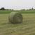 Round bales 4x4 size. 1 thumbnail