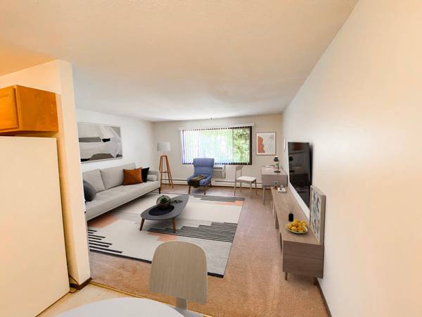 $925 / 1br - Amplio apartamento de 1 dormitorio en Uptown / Whittier, ¡VISITA VIRTUAL! (Minneapolis)63990384120066121
